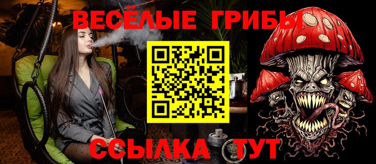 Галлюциногенные грибы GOLDEN TEACHER Бердск