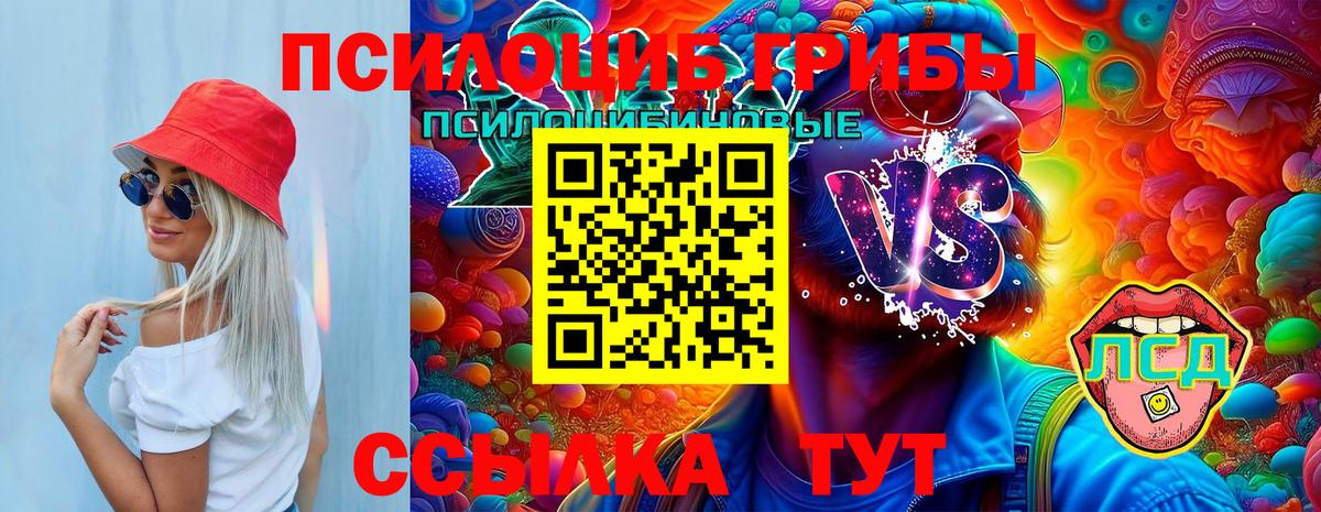 Галлюциногенные грибы MAGIC MUSHROOMS  Вход с VPN  Бердск 